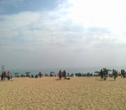 深圳实习_empty_958