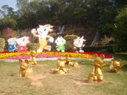 深圳实习_imgp4999