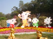 深圳实习_imgp5000