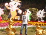 深圳实习_imgp5001