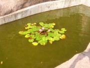 深圳实习_imgp5024