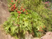 深圳实习_imgp5026