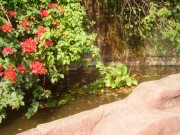 深圳实习_imgp5027