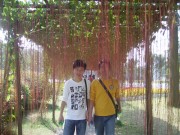 深圳实习_imgp5042