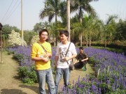 深圳实习_imgp5043