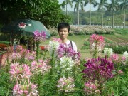 深圳实习_imgp5062