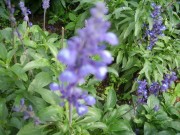 深圳实习_imgp5064