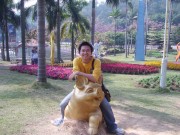 深圳实习_imgp5065