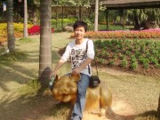 深圳实习_imgp5067