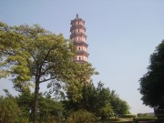 深圳实习_imgp5068