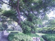 深圳实习_imgp5073