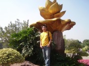 深圳实习_imgp5080