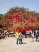 深圳实习_imgp5092