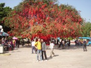 深圳实习_imgp5093