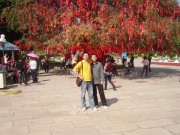 深圳实习_imgp5094