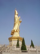 深圳实习_imgp5098