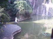 深圳实习_imgp5130