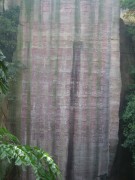 深圳实习_imgp5142