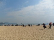 深圳实习_sam_0764