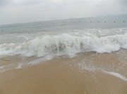 深圳实习_sam_0793