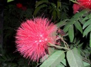 深圳实习_sam_0893