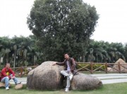 深圳实习_sam_0916