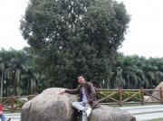 深圳实习_sam_0917