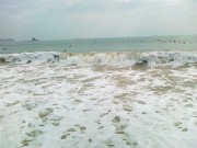 深圳实习_20101204426