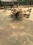 郑州开封_img_0028