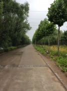 郑州开封_img_0031