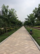 郑州开封_img_0034