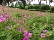 郑州开封_img_0035