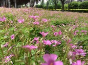 郑州开封_img_0036