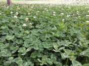 郑州开封_img_0039