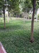 郑州开封_img_0040