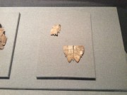 郑州开封_img_0052