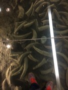 郑州开封_img_0522