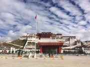 西藏重庆_img_1700