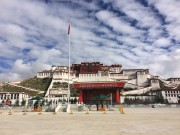 西藏重庆_img_1701