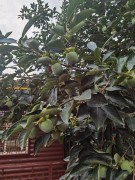 郑州2022_IMG_20220718_180652