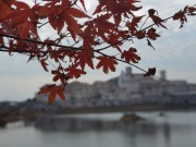 长沙冬季_IMG_20221215_141151