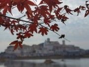 长沙冬季_IMG_20221215_141156