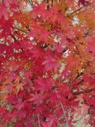 长沙冬季_IMG_20221215_141318