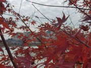 长沙冬季_IMG_20221215_141534