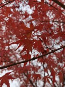 长沙冬季_IMG_20221215_143043