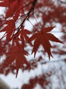 长沙冬季_IMG_20221215_143216