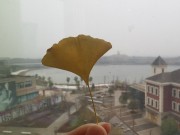 长沙冬季_IMG_20221216_115549