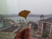 长沙冬季_IMG_20221216_115618