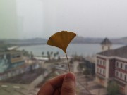 长沙冬季_IMG_20221216_115622