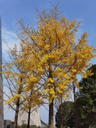 长沙冬季_IMG_20221217_101652